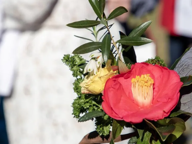 Celebrate Love: Romance in the Gardens